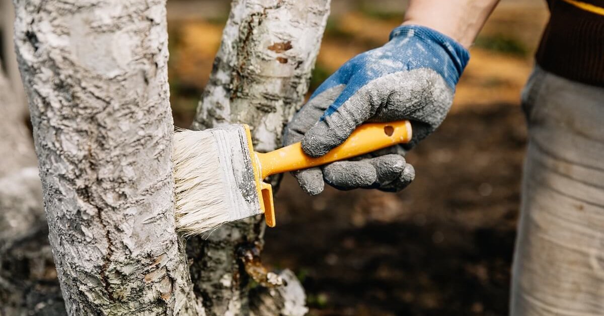 Календарь садовода и огородника на октябрь 2025