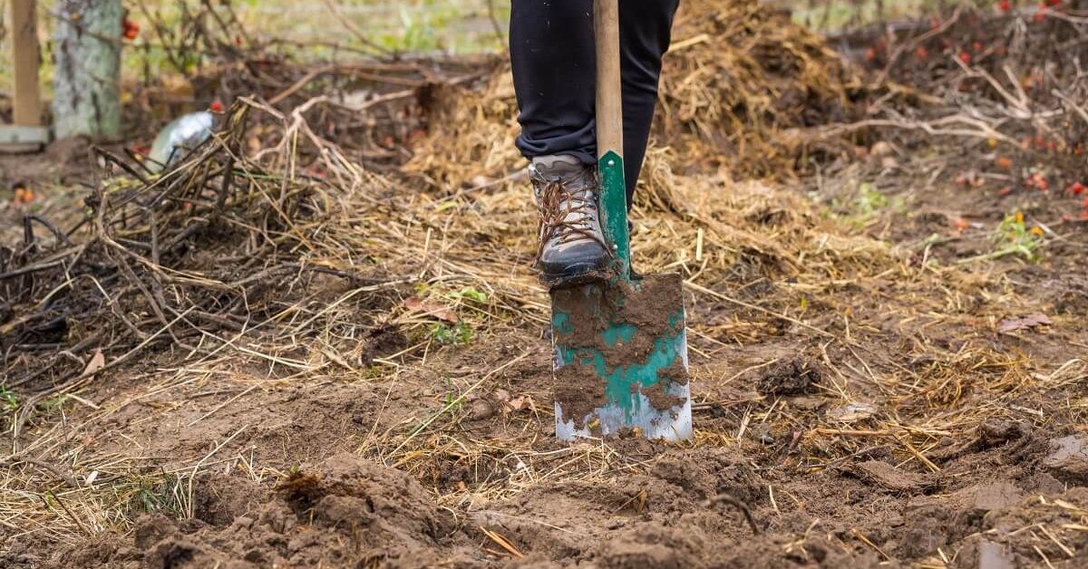 Нужно ли перекапывать огород осенью или нет