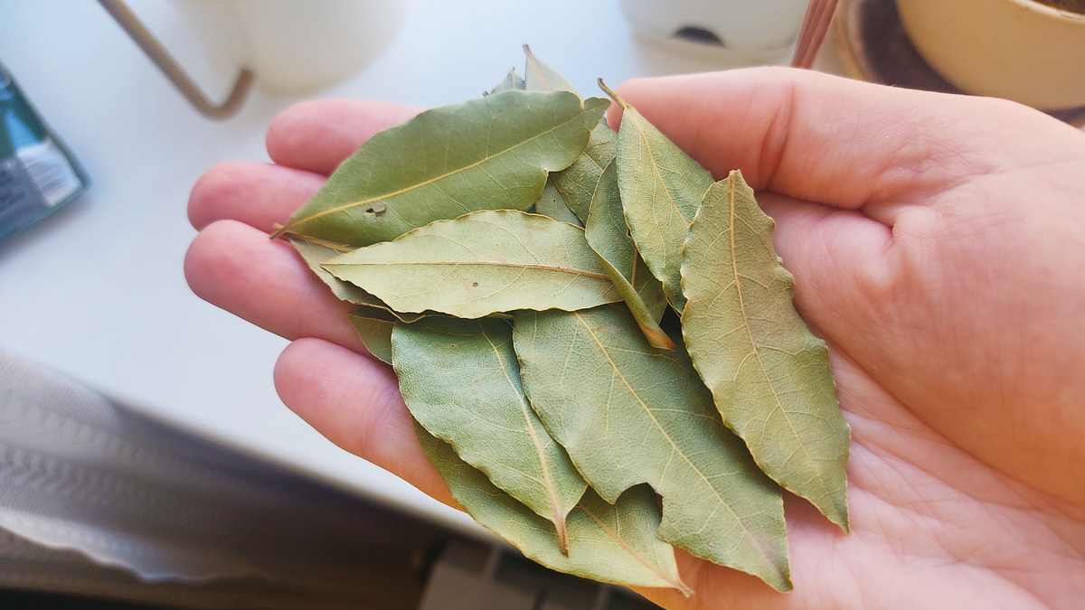 Лавровый лист — не только привычная приправа, без которой трудно представить супы и маринады. В быту он уже много десятилетий используется как натуральное средство против неприятных запахов и даже насекомых. Наши бабушки знали: достаточно всего пары сухих листиков, и на кухне станет чище и комфортнее.  Лавровый лист в холодильнике: естественный освежитель  Задолго до появления покупных ароматизаторов хозяйки клали лавровый лист прямо на полки холодильника. Этот простой прием отлично справляется с проблемой неприятных запахов:  приглушает «тяжелый» аромат рыбы, сыра или старой еды;  не маскирует, а вытесняет запахи благодаря собственному легкому пряному аромату;  действует постепенно, оставляя после себя свежесть без химии.  Достаточно вечером разложить несколько листиков по полкам, и уже утром разница будет ощутимой. Для стойкого эффекта можно держать лавр в холодильнике постоянно, обновляя его раз в 2–3 месяца.  Зачем класть лавровый лист под холодильник  Секрет, о котором знали еще хозяйки в СССР, — лавр помогает не только со свежестью, но и с насекомыми. Его запах совершенно не переносят тараканы и другие вредители.  Эфирные масла лавра сбивают насекомых с толку: они перестают ориентироваться и избегают места, где чувствуют запах.  При вдыхании аромата у тараканов нарушается дыхание, что может привести к их гибели.  Поэтому несколько листиков под холодильником становятся простым и безопасным репеллентом, который поможет забыть о проблеме надолго.  Две проблемы — одно решение  Таким образом, лавровый лист одновременно:  устраняет неприятные запахи в холодильнике;  отпугивает насекомых на кухне.  При этом менять «освежитель» и «защитника» нужно всего раз в сезон — примерно раз в 2–3 месяца. Дешево, безопасно, экологично и, главное, эффективно.