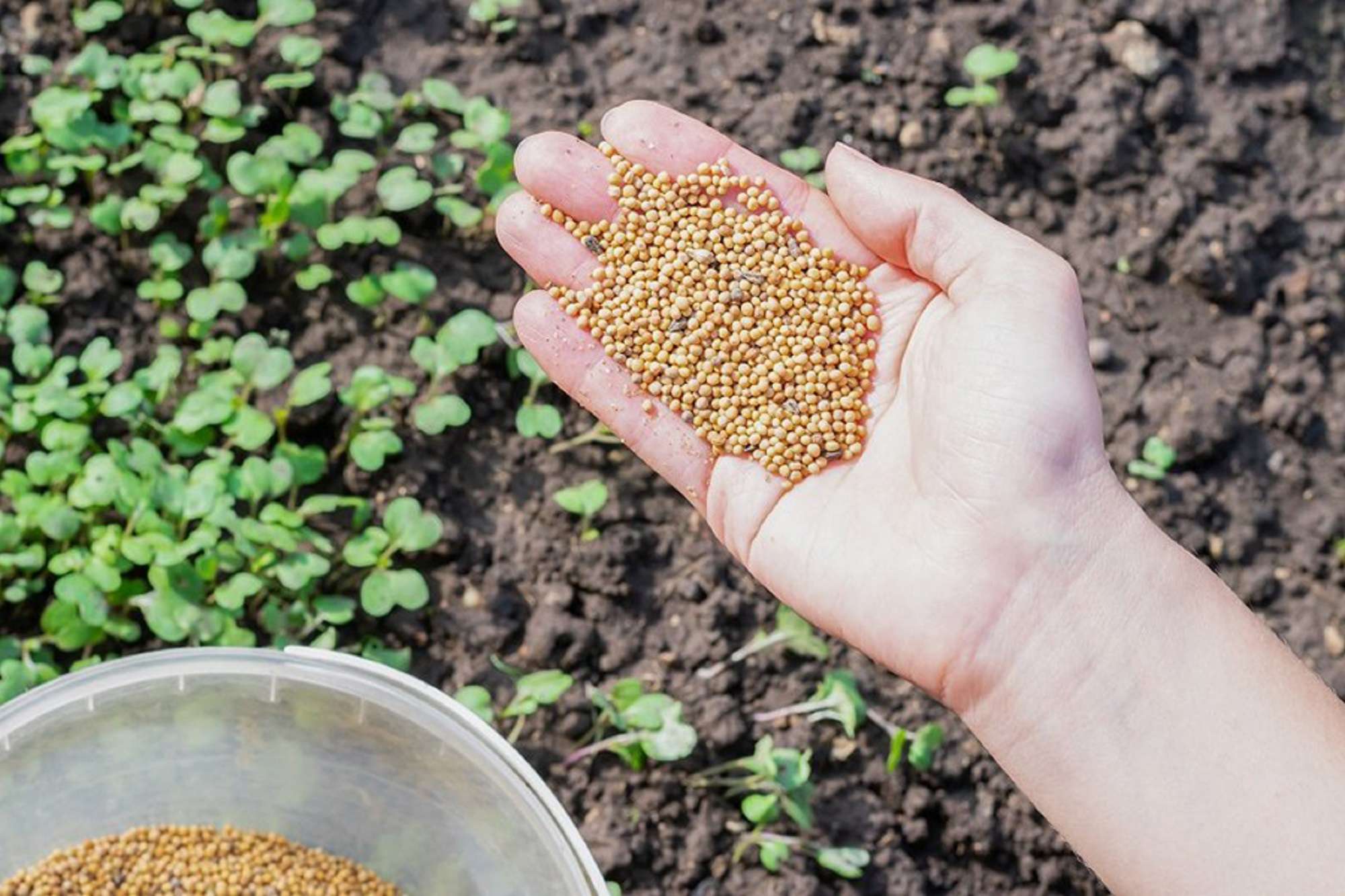 6 осенних ошибок дачников