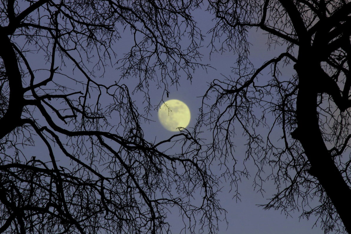 Лунный календарь на ноябрь 2025