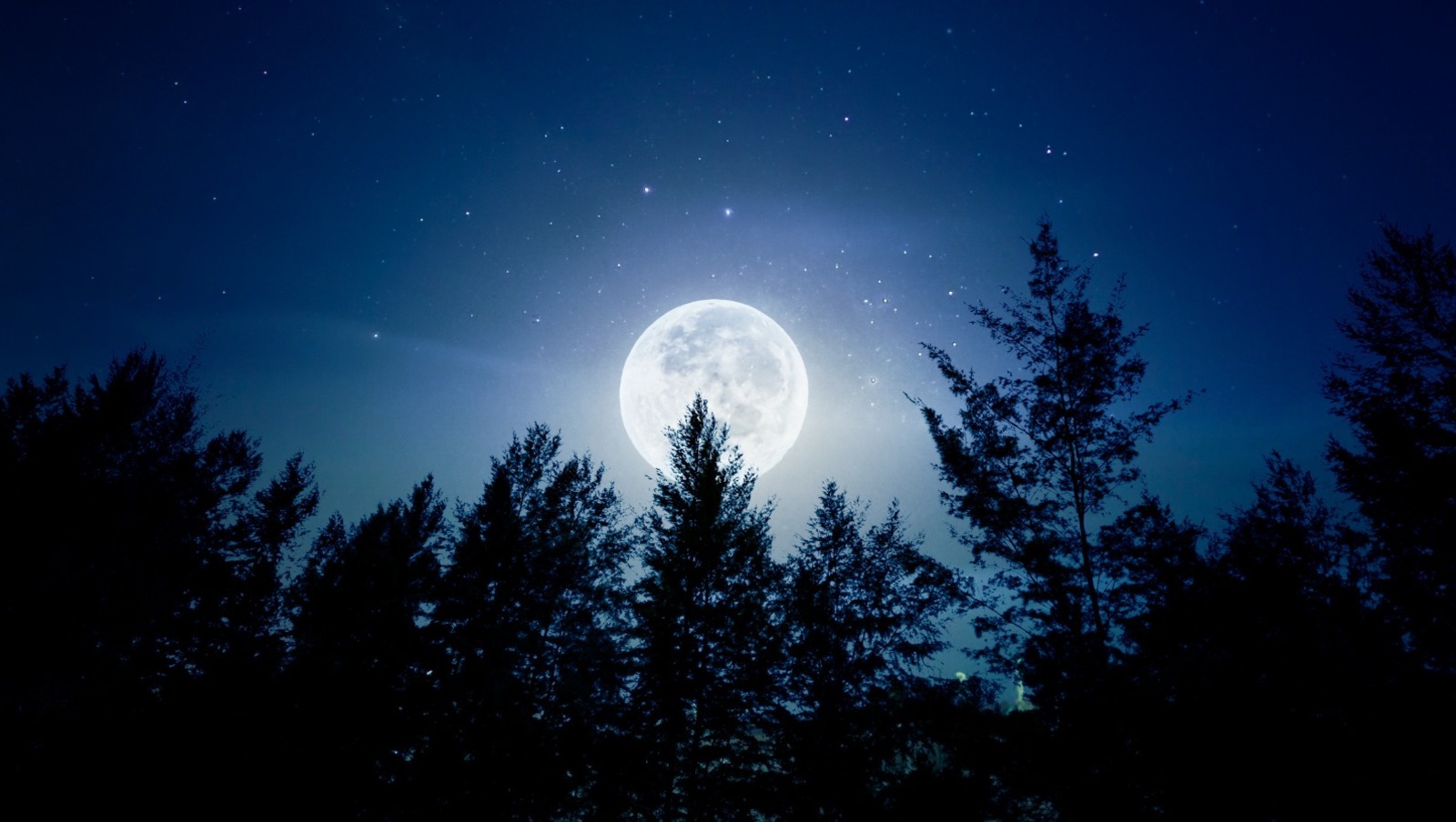 Лунный календарь на ноябрь 2025