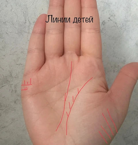 5 способов узнать, сколько раз ты станешь мамой