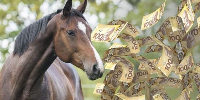 Большой денежный гороскоп на 2026 год для всех знаков зодиака