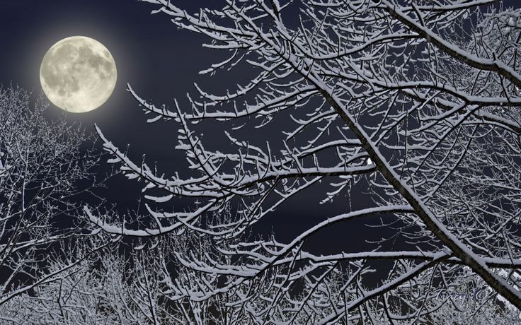 Самые денежные дни для стрижки в декабре 2025