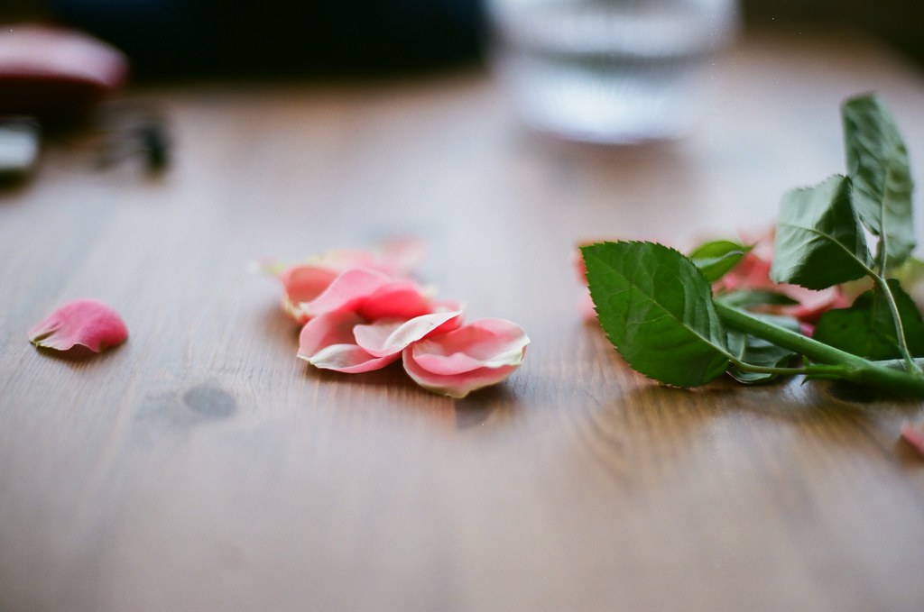 о чем говорят народные приметы, связанные с цветами