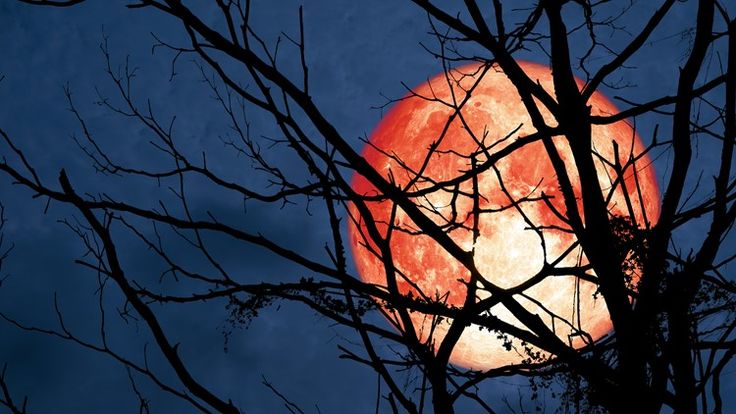 Самое мощное суперлуние 2025 года