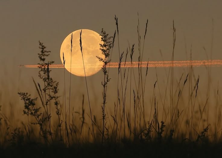 Самое мощное суперлуние 2025 года