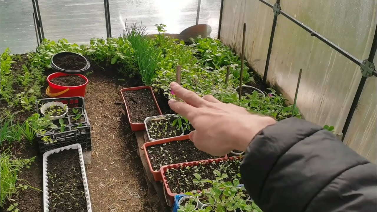 Лунный посевной календарь на декабрь 2025 года