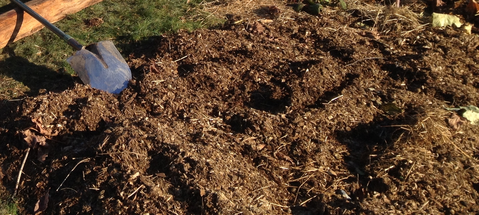 Что закопать в землю осенью под картошку