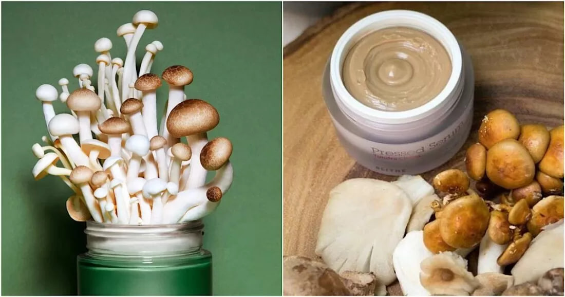 "Умная" косметика нового поколения: ферментированные грибы становятся новым направлением в уходе за кожей