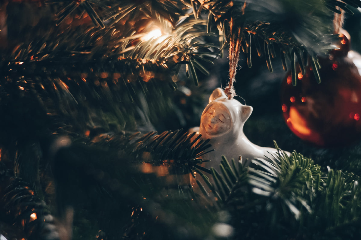 Ритуал привлечения удачи: 12 «магических» дат, когда лучше ставить елку 2026