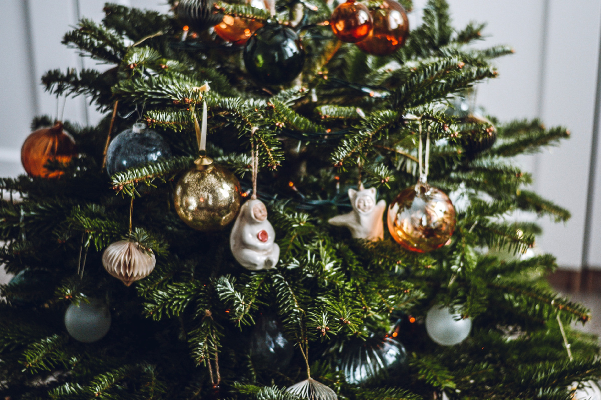 Ритуал привлечения удачи: 12 «магических» дат, когда лучше ставить елку 2026