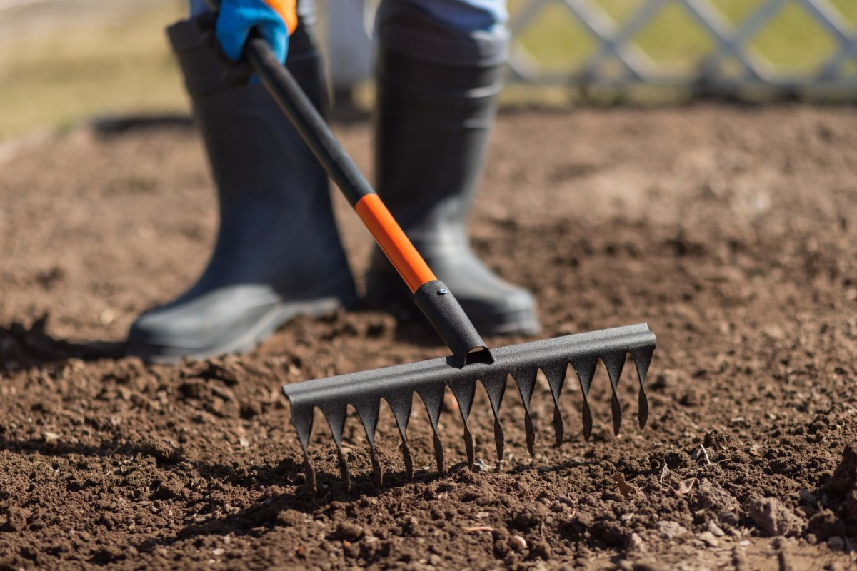 Посадка лука под зиму