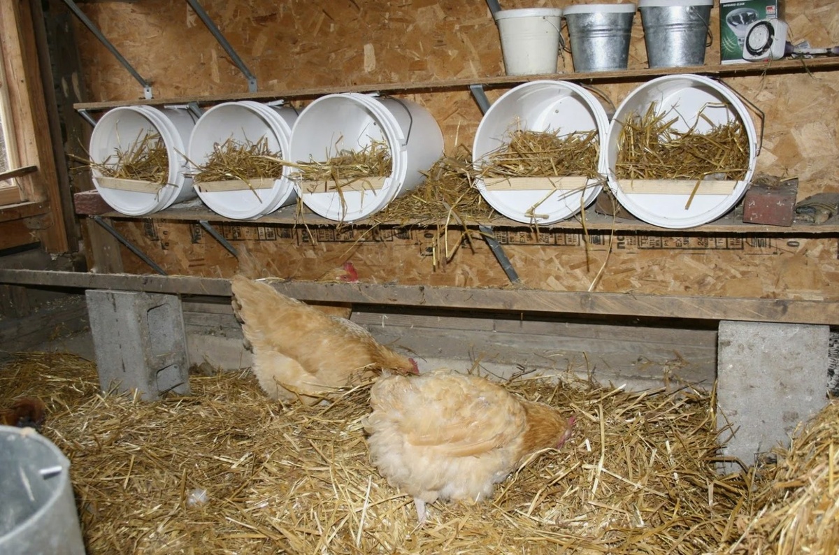 Как и чем утеплить стены курятника на зиму без лишних расходов