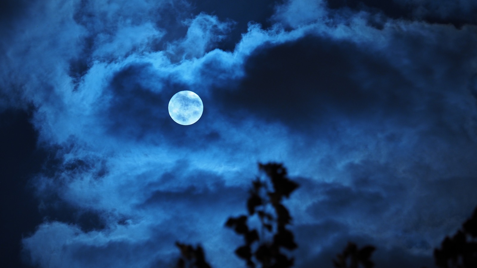 Полнолуние в Близнецах 5 декабря