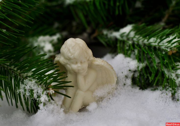 Часы ангела на январь 2026 года