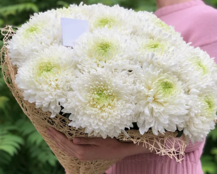 Какие 6 цветов нельзя дарить на первом свидании