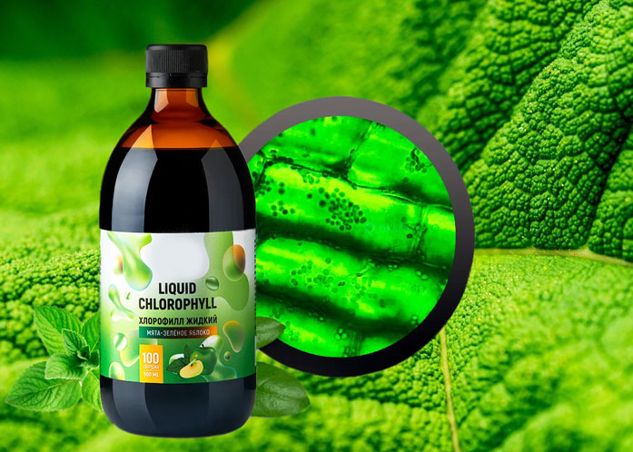 в чем польза жидкого хлорофилла