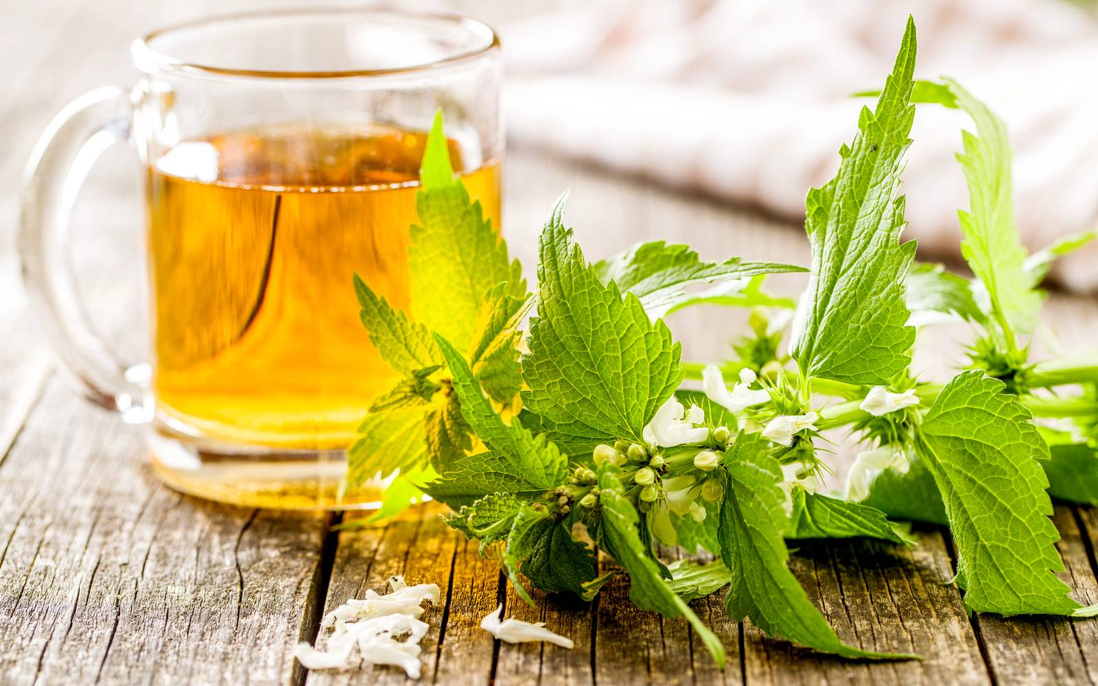 12 чаев для детокса и разгрузочных дней