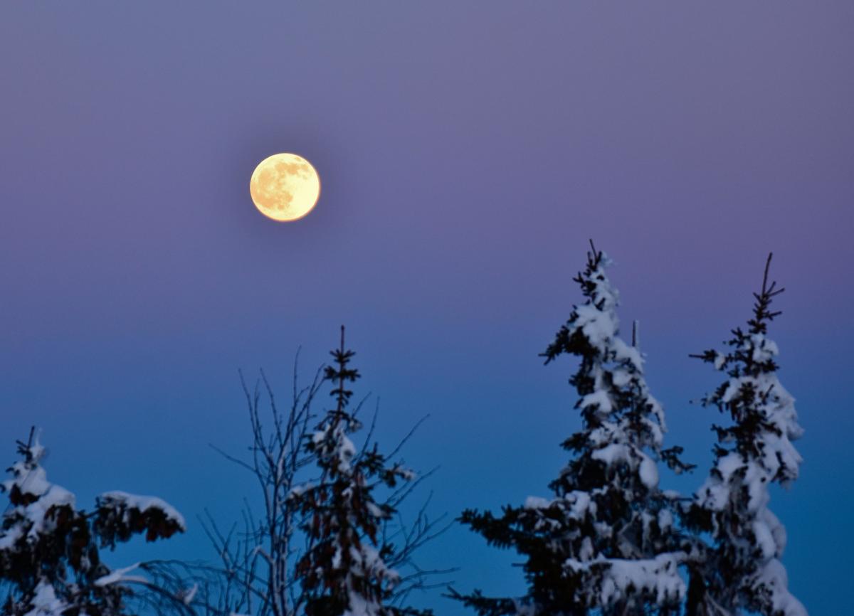 Лунный календарь подскажет ваши удачные дни в январе 2026 года