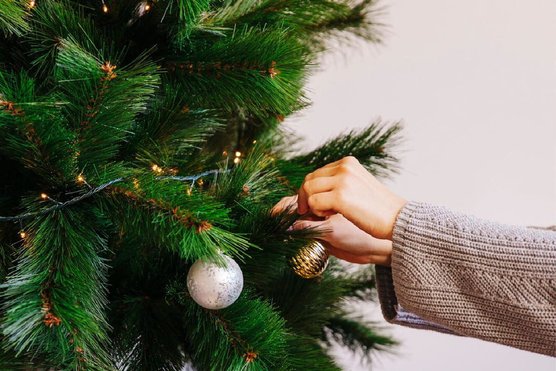 Когда убирать новогоднюю елку, чтобы в 2026 году не считать копейки