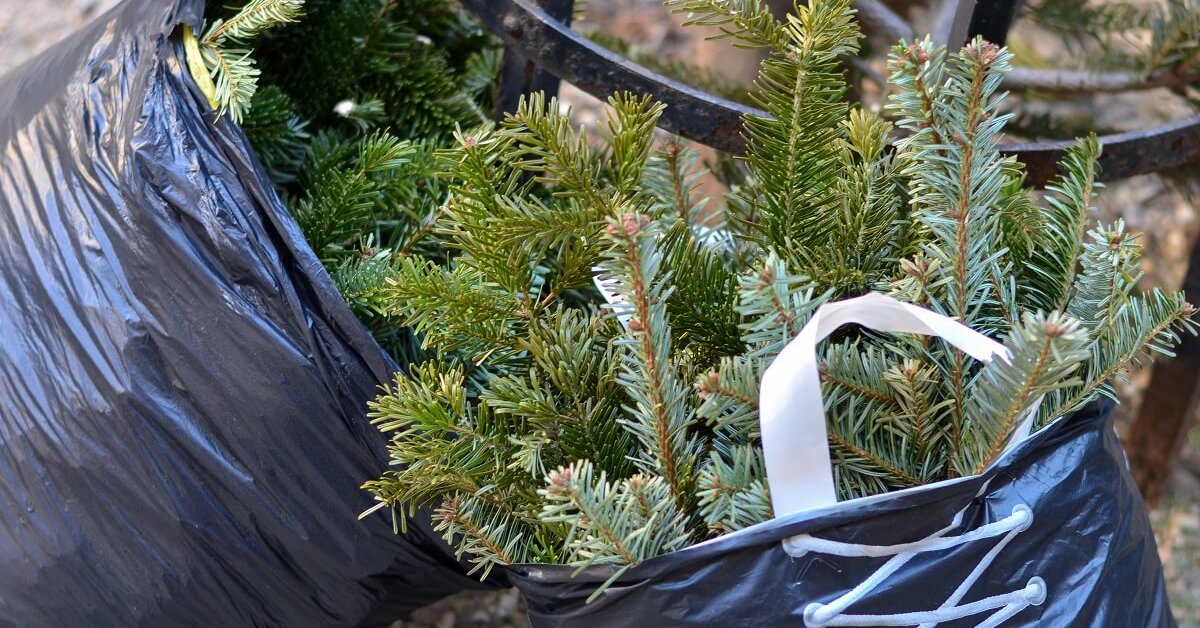 3 способа использования новогодней елки