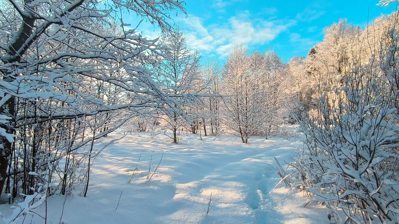 Какой будет весна в 2026 году