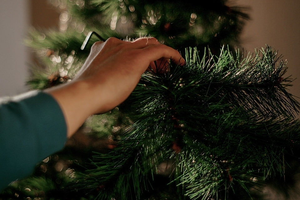 Когда убирать новогоднюю елку, чтобы в 2026 году не считать копейки
