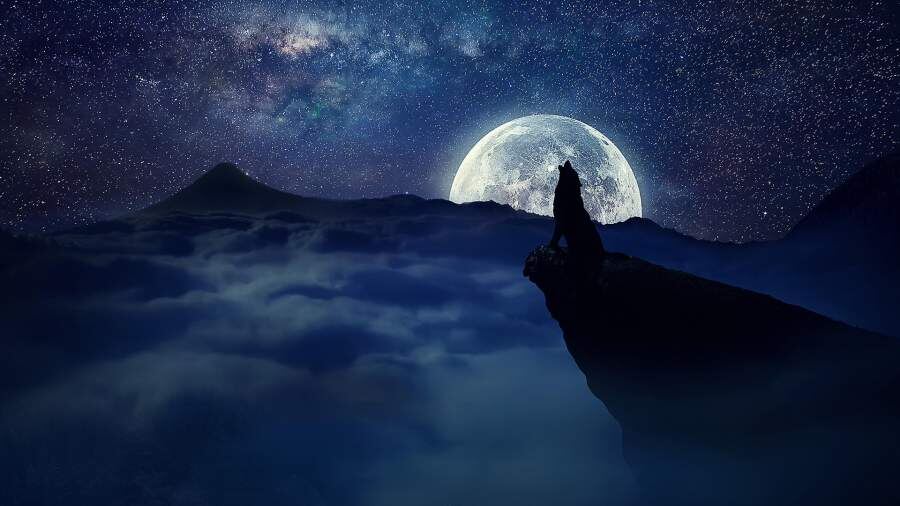 Тамара Глоба назвала 5 судьбоносных дат 2026 года