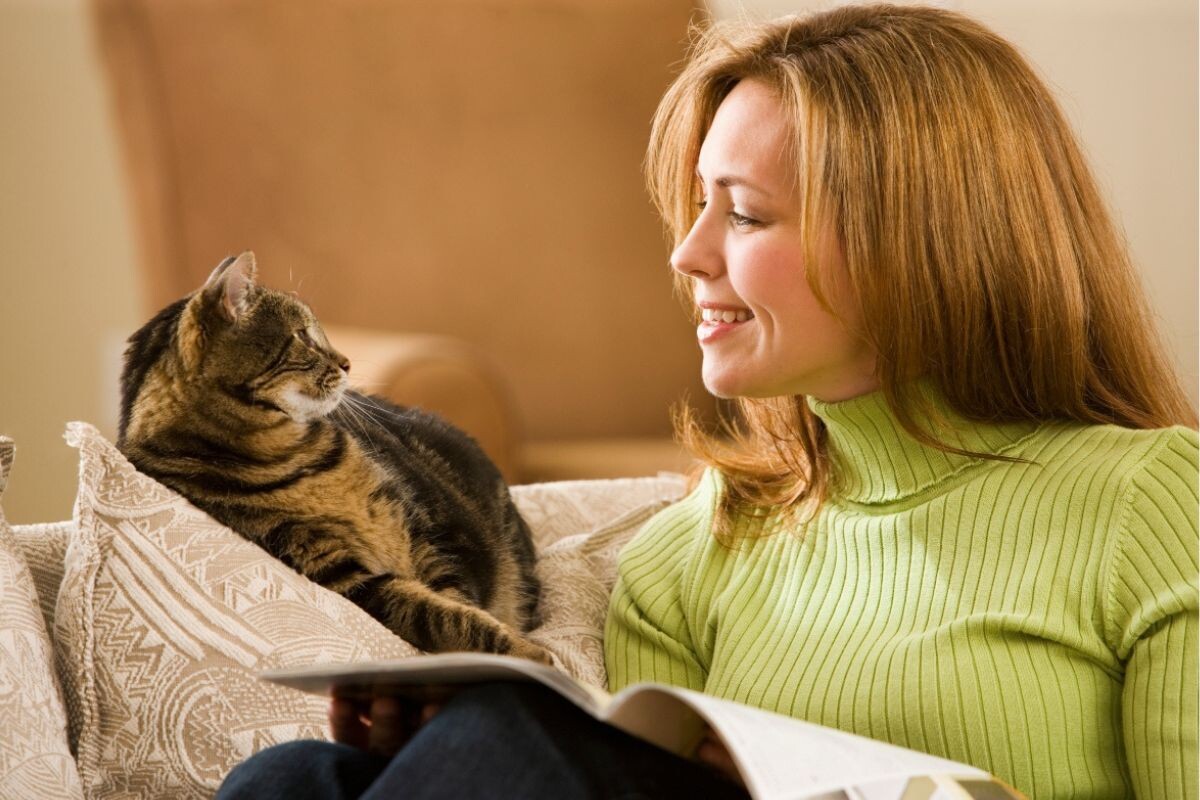 Беседы с животными: нормально ли, если хозяин разговаривает с кошкой