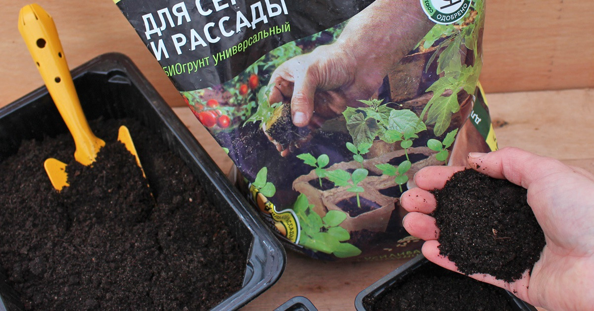 Как подготовить правильный грунт для рассады