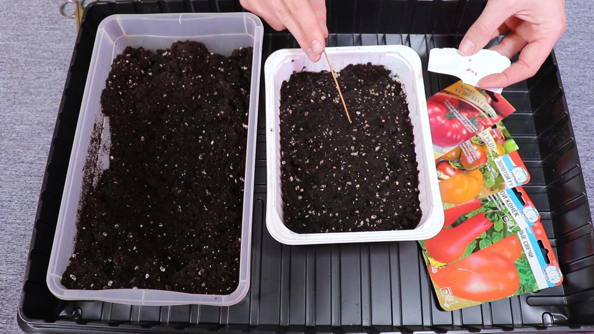 открываем сезон в феврале, чтобы лето было урожайным