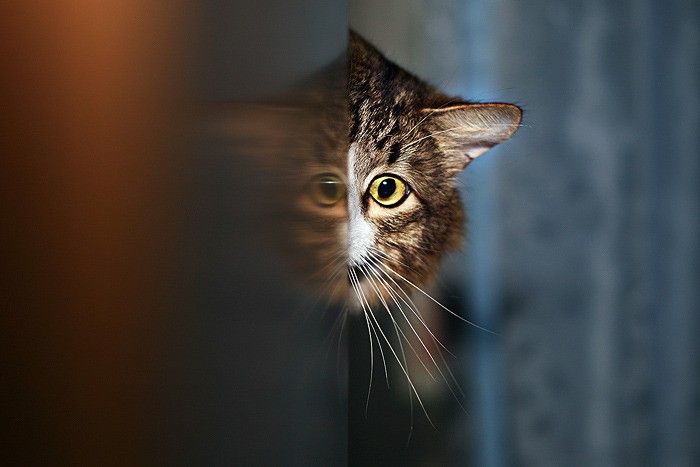 3 признака возможного присутствия тёмной сущности