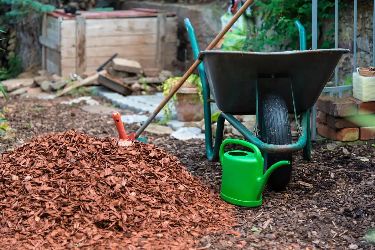4 золотых правила сохранения влаги в почве