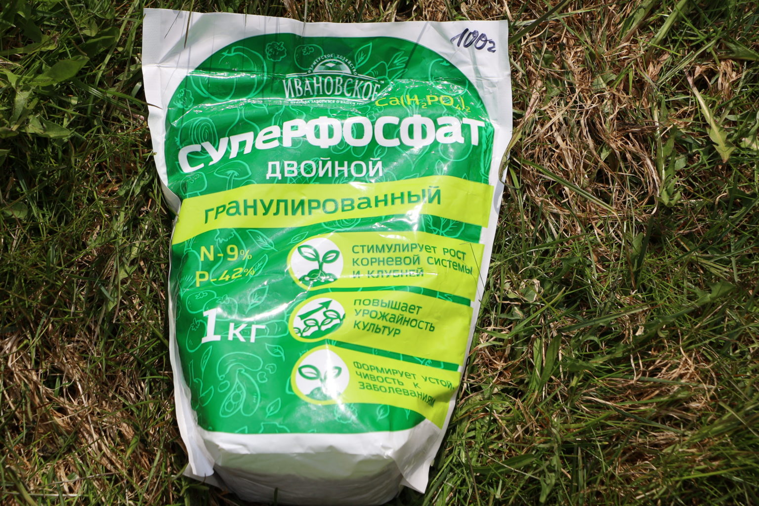 Какие удобрения нужны луковичным