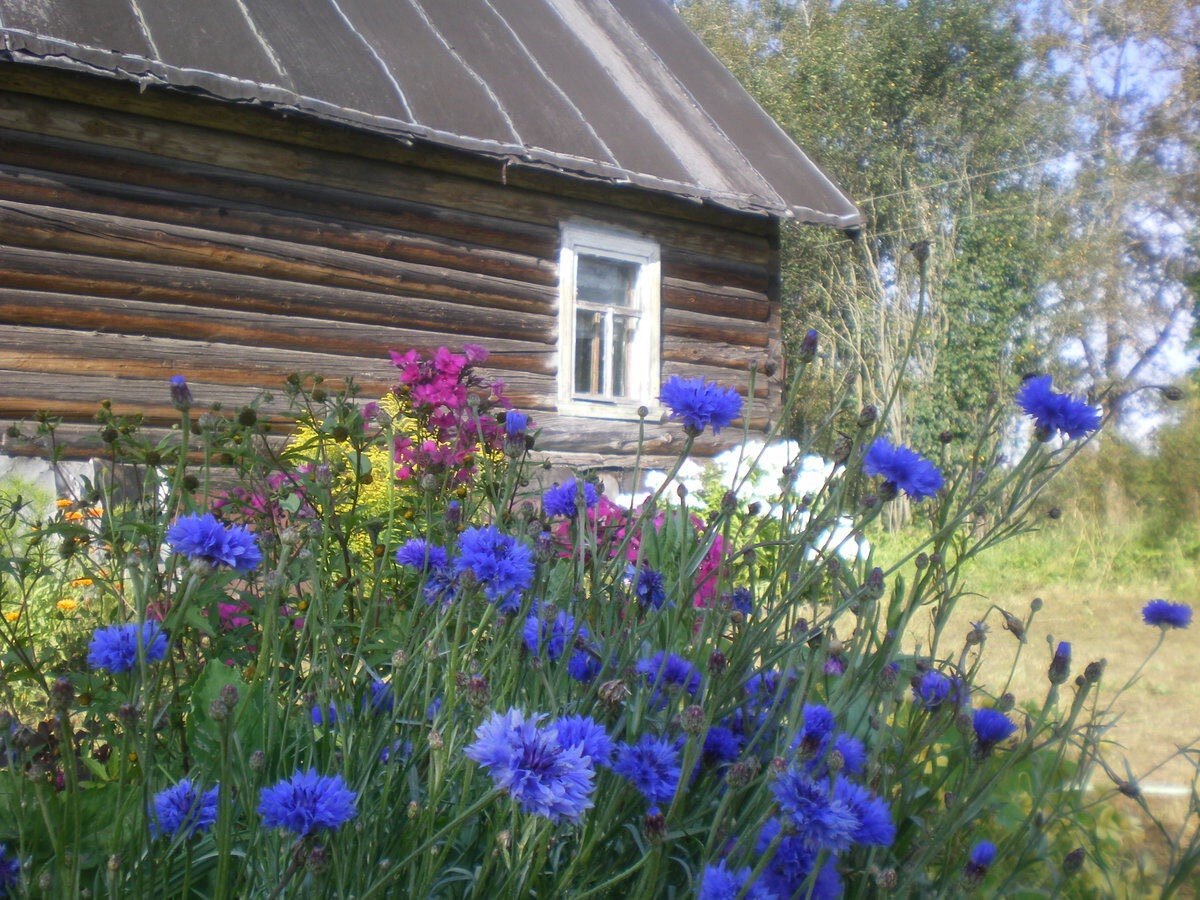 Что делать, если нашли землю у порога