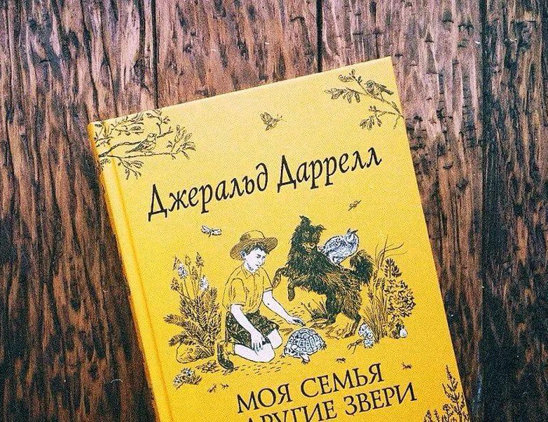 7 уютных книг для осени