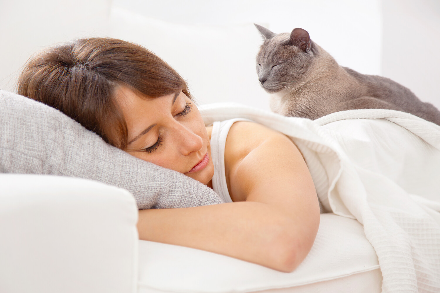 Почему коты любят коробки