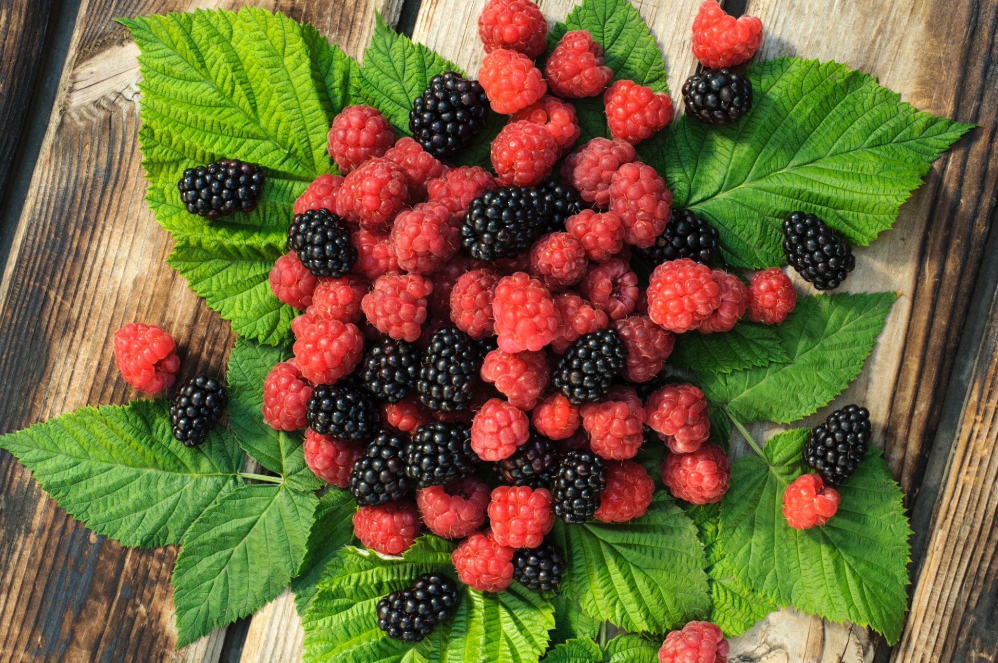 Какие продукты для иммунитета и энергии есть осенью