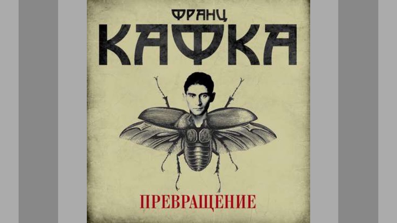 10 книг, которые легко прочитать за день