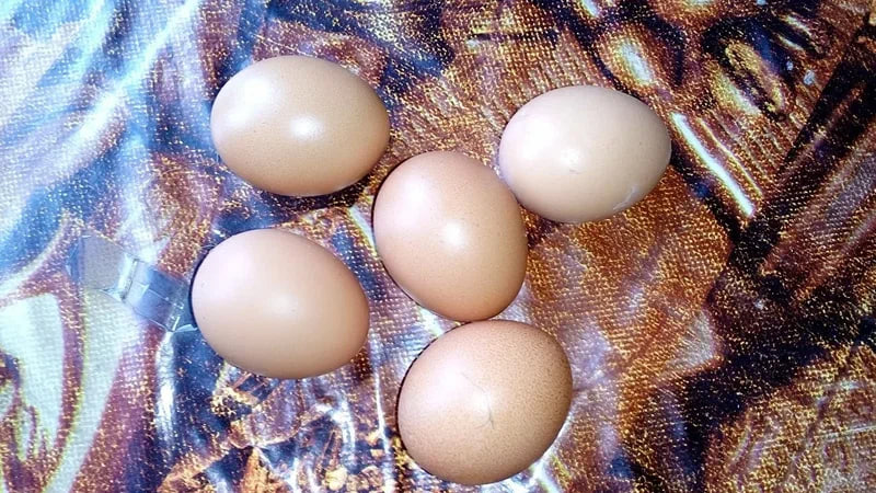 какая кухонная добавка сделает скорлупу яиц прочной